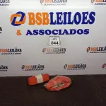 LOTE 044 - 02 CINTAS PARA SEGURANÇA. (NO ESTADO) ATENÇÃO! FAZER A VISITAÇÃO ANTES DE ARREMATAR, NÃO SABEMOS SE FUNCIONA. LEILÃO NÃO TEM GARANTIA E NEM DEVOLUÇÃO, SUJEITO A POSSÍVEIS AVARIAS VISÍVEIS/OCULTAS E/OU AUSÊNCIA DE COMPONENTES.