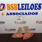 LOTE 022 - 02 CINTAS PARA SEGURANÇA. (NO ESTADO) ATENÇÃO! FAZER A VISITAÇÃO ANTES DE ARREMATAR, NÃO SABEMOS SE FUNCIONA. LEILÃO NÃO TEM GARANTIA E NEM DEVOLUÇÃO, SUJEITO A POSSÍVEIS AVARIAS VISÍVEIS/OCULTAS E/OU AUSÊNCIA DE COMPONENTES.