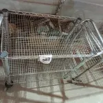 01 CARRINHO PARA SERVIÇO CROMADO. (NO ESTADO) ATENÇÃO! FAZER A VISITAÇÃO ANTES DE ARREMATAR, NÃO SABEMOS SE FUNCIONA. LEILÃO NÃO TEM GARANTIA E NEM DEVOLUÇÃO, SUJEITO A POSSÍVEIS AVARIAS VISÍVEIS/OCULTAS E/OU AUSÊNCIA DE COMPONENTES.