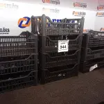 10 CESTAS ORGANIZADORAS. (NO ESTADO) ATENÇÃO! FAZER A VISITAÇÃO ANTES DE ARREMATAR, NÃO SABEMOS SE FUNCIONA. LEILÃO NÃO TEM GARANTIA E NEM DEVOLUÇÃO, SUJEITO A POSSÍVEIS AVARIAS VISÍVEIS/OCULTAS E/OU AUSÊNCIA DE COMPONENTES.