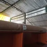 LOTE 416 - 01 RUG (TAPETE). (NO ESTADO EM QUE SE ENCONTRA. SUJEITO A AVARIAS OCULTAS/VISÍVEIS.) AU2449S