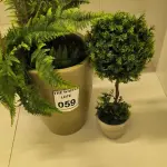 LOTE 059 - 02 PLANTAS DECORATIVAS. (NO ESTADO) ATENÇÃO! FAZER A VISITAÇÃO ANTES DE ARREMATAR, NÃO SABEMOS SE FUNCIONA. LEILÃO NÃO TEM GARANTIA E NEM DEVOLUÇÃO, SUJEITO A POSSÍVEIS AVARIAS VISÍVEIS/OCULTAS E/OU AUSÊNCIA DE COMPONENTES.