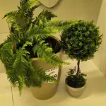 LOTE 059 - 02 PLANTAS DECORATIVAS. (NO ESTADO) ATENÇÃO! FAZER A VISITAÇÃO ANTES DE ARREMATAR, NÃO SABEMOS SE FUNCIONA. LEILÃO NÃO TEM GARANTIA E NEM DEVOLUÇÃO, SUJEITO A POSSÍVEIS AVARIAS VISÍVEIS/OCULTAS E/OU AUSÊNCIA DE COMPONENTES.