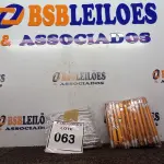 LOTE 063 - 100 CANETAS PARA BRINDE. (NO ESTADO) ATENÇÃO! FAZER A VISITAÇÃO ANTES DE ARREMATAR, NÃO SABEMOS SE FUNCIONA. LEILÃO NÃO TEM GARANTIA E NEM DEVOLUÇÃO, SUJEITO A POSSÍVEIS AVARIAS VISÍVEIS/OCULTAS E/OU AUSÊNCIA DE COMPONENTES.