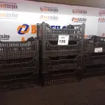 LOTE 120 - 10 CESTOS ORGANIZADORES EM PLÁSTICO. (NO ESTADO) ATENÇÃO! FAZER A VISITAÇÃO ANTES DE ARREMATAR, NÃO SABEMOS SE FUNCIONA. LEILÃO NÃO TEM GARANTIA E NEM DEVOLUÇÃO, SUJEITO A POSSÍVEIS AVARIAS VISÍVEIS/OCULTAS E/OU AUSÊNCIA DE COMPONENTES.