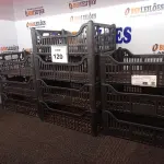 LOTE 120 - 10 CESTOS ORGANIZADORES EM PLÁSTICO. (NO ESTADO) ATENÇÃO! FAZER A VISITAÇÃO ANTES DE ARREMATAR, NÃO SABEMOS SE FUNCIONA. LEILÃO NÃO TEM GARANTIA E NEM DEVOLUÇÃO, SUJEITO A POSSÍVEIS AVARIAS VISÍVEIS/OCULTAS E/OU AUSÊNCIA DE COMPONENTES.