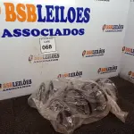 LOTE 068 - 01 PAR DE MOLAS DIANTEIRA DO CHRYSLER GRAND CARAVAN 3.3 V6. (NO ESTADO) ATENÇÃO! FAZER A VISITAÇÃO ANTES DE ARREMATAR, NÃO SABEMOS SE FUNCIONA. LEILÃO NÃO TEM GARANTIA E NEM DEVOLUÇÃO, SUJEITO A POSSÍVEIS AVARIAS VISÍVEIS/OCULTAS E/OU AUSÊNCIA DE COMPONENTES.