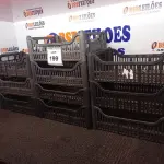 LOTE 199 - 10 CESTOS ORGANIZADORES EM PLÁSTICO. (NO ESTADO) ATENÇÃO! FAZER A VISITAÇÃO ANTES DE ARREMATAR, NÃO SABEMOS SE FUNCIONA. LEILÃO NÃO TEM GARANTIA E NEM DEVOLUÇÃO, SUJEITO A POSSÍVEIS AVARIAS VISÍVEIS/OCULTAS E/OU AUSÊNCIA DE COMPONENTES.
