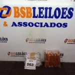 LOTE 063 - 100 CANETAS PARA BRINDE. (NO ESTADO) ATENÇÃO! FAZER A VISITAÇÃO ANTES DE ARREMATAR, NÃO SABEMOS SE FUNCIONA. LEILÃO NÃO TEM GARANTIA E NEM DEVOLUÇÃO, SUJEITO A POSSÍVEIS AVARIAS VISÍVEIS/OCULTAS E/OU AUSÊNCIA DE COMPONENTES.