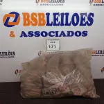 LOTE 171 - 40 UNIDADES DE JOELHOS SOLD 45 KRONA. (NO ESTADO) ATENÇÃO! FAZER A VISITAÇÃO ANTES DE ARREMATAR, NÃO SABEMOS SE FUNCIONA. LEILÃO NÃO TEM GARANTIA E NEM DEVOLUÇÃO, SUJEITO A POSSÍVEIS AVARIAS VISÍVEIS/OCULTAS E/OU AUSÊNCIA DE COMPONENTES.