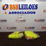 LOTE 061 - 02 CINTAS PARA PARAQUEDISTA/ALPINISTA. (NOVO) (NO ESTADO) ATENÇÃO! FAZER A VISITAÇÃO ANTES DE ARREMATAR, NÃO SABEMOS SE FUNCIONA. LEILÃO NÃO TEM GARANTIA E NEM DEVOLUÇÃO, SUJEITO A POSSÍVEIS AVARIAS VISÍVEIS/OCULTAS E/OU AUSÊNCIA DE COMPONENTES.