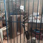 LOTE 491 - 01 CORTINA DE FERRO PERSONALIZADA. (NO ESTADO) ATENÇÃO! FAZER A VISITAÇÃO ANTES DE ARREMATAR, NÃO SABEMOS SE FUNCIONA. LEILÃO NÃO TEM GARANTIA E NEM DEVOLUÇÃO, SUJEITO A POSSÍVEIS AVARIAS VISÍVEIS/OCULTAS E/OU AUSÊNCIA DE COMPONENTES.