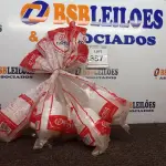 LOTE 387 - 06 BOIAS DE 1/2’’PARA CAIXA DE DESCARGA. (NOVO) (NO ESTADO) ATENÇÃO! FAZER A VISITAÇÃO ANTES DE ARREMATAR, NÃO SABEMOS SE FUNCIONA. LEILÃO NÃO TEM GARANTIA E NEM DEVOLUÇÃO, SUJEITO A POSSÍVEIS AVARIAS VISÍVEIS/OCULTAS E/OU AUSÊNCIA DE COMPONENTES.