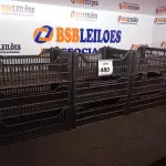 LOTE 480 - 10 CESTAS ORGANIZADORAS. (NO ESTADO) ATENÇÃO! FAZER A VISITAÇÃO ANTES DE ARREMATAR, NÃO SABEMOS SE FUNCIONA. LEILÃO NÃO TEM GARANTIA E NEM DEVOLUÇÃO, SUJEITO A POSSÍVEIS AVARIAS VISÍVEIS/OCULTAS E/OU AUSÊNCIA DE COMPONENTES.