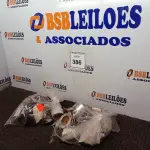 LOTE 386 - 01 LOTE COM VÁRIAS CÂMERAS DE SEGURANÇA MARCAS E MODELOS DIVERSOS. (NO ESTADO) ATENÇÃO! FAZER A VISITAÇÃO ANTES DE ARREMATAR, NÃO SABEMOS SE FUNCIONA. LEILÃO NÃO TEM GARANTIA E NEM DEVOLUÇÃO, SUJEITO A POSSÍVEIS AVARIAS VISÍVEIS/OCULTAS E/OU AUSÊNCIA DE COMPONENTES.