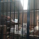 LOTE 492 - 01 CORTINA DE FERRO PERSONALIZADA. (NO ESTADO) ATENÇÃO! FAZER A VISITAÇÃO ANTES DE ARREMATAR, NÃO SABEMOS SE FUNCIONA. LEILÃO NÃO TEM GARANTIA E NEM DEVOLUÇÃO, SUJEITO A POSSÍVEIS AVARIAS VISÍVEIS/OCULTAS E/OU AUSÊNCIA DE COMPONENTES.