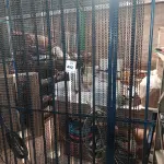 LOTE 492 - 01 CORTINA DE FERRO PERSONALIZADA. (NO ESTADO) ATENÇÃO! FAZER A VISITAÇÃO ANTES DE ARREMATAR, NÃO SABEMOS SE FUNCIONA. LEILÃO NÃO TEM GARANTIA E NEM DEVOLUÇÃO, SUJEITO A POSSÍVEIS AVARIAS VISÍVEIS/OCULTAS E/OU AUSÊNCIA DE COMPONENTES.