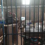 LOTE 491 - 01 CORTINA DE FERRO PERSONALIZADA. (NO ESTADO) ATENÇÃO! FAZER A VISITAÇÃO ANTES DE ARREMATAR, NÃO SABEMOS SE FUNCIONA. LEILÃO NÃO TEM GARANTIA E NEM DEVOLUÇÃO, SUJEITO A POSSÍVEIS AVARIAS VISÍVEIS/OCULTAS E/OU AUSÊNCIA DE COMPONENTES.