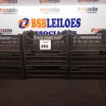 LOTE 480 - 10 CESTAS ORGANIZADORAS. (NO ESTADO) ATENÇÃO! FAZER A VISITAÇÃO ANTES DE ARREMATAR, NÃO SABEMOS SE FUNCIONA. LEILÃO NÃO TEM GARANTIA E NEM DEVOLUÇÃO, SUJEITO A POSSÍVEIS AVARIAS VISÍVEIS/OCULTAS E/OU AUSÊNCIA DE COMPONENTES.
