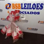 LOTE 387 - 06 BOIAS DE 1/2’’PARA CAIXA DE DESCARGA. (NOVO) (NO ESTADO) ATENÇÃO! FAZER A VISITAÇÃO ANTES DE ARREMATAR, NÃO SABEMOS SE FUNCIONA. LEILÃO NÃO TEM GARANTIA E NEM DEVOLUÇÃO, SUJEITO A POSSÍVEIS AVARIAS VISÍVEIS/OCULTAS E/OU AUSÊNCIA DE COMPONENTES.