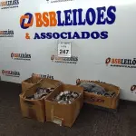 LOTE 247 - 01 LOTE COM DIVERSOS PARAFUSOS SEXTAVADO, DIVERSAS BORRACHINHAS E ABRAÇADEIRAS DE ACO. (NOVO) (NO ESTADO) ATENÇÃO! FAZER A VISITAÇÃO ANTES DE ARREMATAR, NÃO SABEMOS SE FUNCIONA. LEILÃO NÃO TEM GARANTIA E NEM DEVOLUÇÃO, SUJEITO A POSSÍVEIS AVARIAS VISÍVEIS/OCULTAS E/OU AUSÊNCIA DE COMPONENTES.