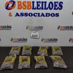 LOTE 030 - 08 KG DE PREGOS MARCA GERDAU. (NOVO) (NO ESTADO) ATENÇÃO! FAZER A VISITAÇÃO ANTES DE ARREMATAR, NÃO SABEMOS SE FUNCIONA. LEILÃO NÃO TEM GARANTIA E NEM DEVOLUÇÃO, SUJEITO A POSSÍVEIS AVARIAS VISÍVEIS/OCULTAS E/OU AUSÊNCIA DE COMPONENTES.