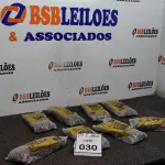 LOTE 030 - 08 KG DE PREGOS MARCA GERDAU. (NOVO) (NO ESTADO) ATENÇÃO! FAZER A VISITAÇÃO ANTES DE ARREMATAR, NÃO SABEMOS SE FUNCIONA. LEILÃO NÃO TEM GARANTIA E NEM DEVOLUÇÃO, SUJEITO A POSSÍVEIS AVARIAS VISÍVEIS/OCULTAS E/OU AUSÊNCIA DE COMPONENTES.