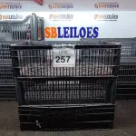 LOTE 257 - 10 CESTAS ORGANIZADORAS. (NO ESTADO) ATENÇÃO! FAZER A VISITAÇÃO ANTES DE ARREMATAR, NÃO SABEMOS SE FUNCIONA. LEILÃO NÃO TEM GARANTIA E NEM DEVOLUÇÃO, SUJEITO A POSSÍVEIS AVARIAS VISÍVEIS/OCULTAS E/OU AUSÊNCIA DE COMPONENTES.