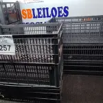 LOTE 257 - 10 CESTAS ORGANIZADORAS. (NO ESTADO) ATENÇÃO! FAZER A VISITAÇÃO ANTES DE ARREMATAR, NÃO SABEMOS SE FUNCIONA. LEILÃO NÃO TEM GARANTIA E NEM DEVOLUÇÃO, SUJEITO A POSSÍVEIS AVARIAS VISÍVEIS/OCULTAS E/OU AUSÊNCIA DE COMPONENTES.