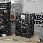 LOTE 025 - 10 CESTAS ORGANIZADORAS. (NO ESTADO) ATENÇÃO! FAZER A VISITAÇÃO ANTES DE ARREMATAR, NÃO SABEMOS SE FUNCIONA. LEILÃO NÃO TEM GARANTIA E NEM DEVOLUÇÃO, SUJEITO A POSSÍVEIS AVARIAS VISÍVEIS/OCULTAS E/OU AUSÊNCIA DE COMPONENTES.