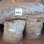 LOTE 041 - 01 LOTE COM CONES DE PLÁSTICO.  (NO ESTADO) ATENÇÃO! FAZER A VISITAÇÃO ANTES DE ARREMATAR, NÃO SABEMOS SE FUNCIONA. LEILÃO NÃO TEM GARANTIA E NEM DEVOLUÇÃO, SUJEITO A POSSÍVEIS AVARIAS VISÍVEIS/OCULTAS E/OU AUSÊNCIA DE COMPONENTES.