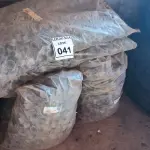 LOTE 041 - 01 LOTE COM CONES DE PLÁSTICO.  (NO ESTADO) ATENÇÃO! FAZER A VISITAÇÃO ANTES DE ARREMATAR, NÃO SABEMOS SE FUNCIONA. LEILÃO NÃO TEM GARANTIA E NEM DEVOLUÇÃO, SUJEITO A POSSÍVEIS AVARIAS VISÍVEIS/OCULTAS E/OU AUSÊNCIA DE COMPONENTES.