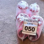 LOTE 050 - 04 VÁLVULAS ANGULAR PARA HIDRANTE (NO ESTADO) ATENÇÃO! FAZER A VISITAÇÃO ANTES DE ARREMATAR, NÃO SABEMOS SE FUNCIONA. LEILÃO NÃO TEM GARANTIA E NEM DEVOLUÇÃO, SUJEITO A POSSÍVEIS AVARIAS VISÍVEIS/OCULTAS E/OU AUSÊNCIA DE COMPONENTES.