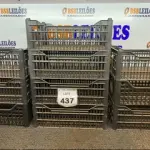 LOTE 437 - 10 CESTAS ORGANIZADORAS. (NO ESTADO) ATENÇÃO! FAZER A VISITAÇÃO ANTES DE ARREMATAR, NÃO SABEMOS SE FUNCIONA. LEILÃO NÃO TEM GARANTIA E NEM DEVOLUÇÃO, SUJEITO A POSSÍVEIS AVARIAS VISÍVEIS/OCULTAS E/OU AUSÊNCIA DE COMPONENTES.