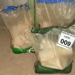 LOTE 009 - 01 LOTE COM CONEXÕES REDUÇÃO 75X 50.  (NO ESTADO) ATENÇÃO! FAZER A VISITAÇÃO ANTES DE ARREMATAR, NÃO SABEMOS SE FUNCIONA. LEILÃO NÃO TEM GARANTIA E NEM DEVOLUÇÃO, SUJEITO A POSSÍVEIS AVARIAS VISÍVEIS/OCULTAS E/OU AUSÊNCIA DE COMPONENTES.