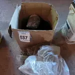 LOTE 037 - 01 LOTE DE PARAFUSOS AUTOBROCANTE PARA TELHADOS.  (NO ESTADO) ATENÇÃO! FAZER A VISITAÇÃO ANTES DE ARREMATAR, NÃO SABEMOS SE FUNCIONA. LEILÃO NÃO TEM GARANTIA E NEM DEVOLUÇÃO, SUJEITO A POSSÍVEIS AVARIAS VISÍVEIS/OCULTAS E/OU AUSÊNCIA DE COMPONENTES.