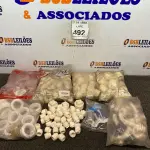 LOTE 492 - 01 LOTE COM TORNEIRAS PLÁSTICAS E TAMPÕES. (NO ESTADO) ATENÇÃO! FAZER A VISITAÇÃO ANTES DE ARREMATAR, NÃO SABEMOS SE FUNCIONA. LEILÃO NÃO TEM GARANTIA E NEM DEVOLUÇÃO, SUJEITO A POSSÍVEIS AVARIAS VISÍVEIS/OCULTAS E/OU AUSÊNCIA DE COMPONENTES.