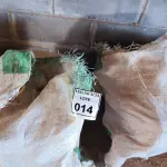 LOTE 014 - 01 LOTE COM CONEXÕES T 100X75.   (NO ESTADO) ATENÇÃO! FAZER A VISITAÇÃO ANTES DE ARREMATAR, NÃO SABEMOS SE FUNCIONA. LEILÃO NÃO TEM GARANTIA E NEM DEVOLUÇÃO, SUJEITO A POSSÍVEIS AVARIAS VISÍVEIS/OCULTAS E/OU AUSÊNCIA DE COMPONENTES.
