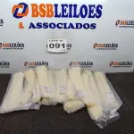 LOTE 091 - 12 - PACOTES ABRAÇADEIRA PLÁSTICA 400X4,8 NATURAL CONEXEL 100 UNIDADES CADA (NO ESTADO, NÃO SABEMOS SE FUNCIONA. LEILÃO NÃO TEM GARANTIA E NEM DEVOLUÇÃO, SUJEITO A POSSÍVEIS AVARIAS VISÍVEIS/OCULTAS E/OU AUSÊNCIA DE COMPONENTES)