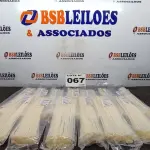 LOTE 067 - 13 - PACOTES ABRAÇADEIRAS PLÁSTICAS 400X4,8 NATURAL CONEXEL 100 UNIDADES CADA (NO ESTADO, NÃO SABEMOS SE FUNCIONA. LEILÃO NÃO TEM GARANTIA E NEM DEVOLUÇÃO, SUJEITO A POSSÍVEIS AVARIAS VISÍVEIS/OCULTAS E/OU AUSÊNCIA DE COMPONENTES)