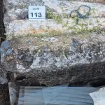 LOTE 113 - 01 LOTE COM MEIO FIO.  (NO ESTADO) ATENÇÃO! FAZER A VISITAÇÃO ANTES DE ARREMATAR, NÃO SABEMOS SE FUNCIONA. LEILÃO NÃO TEM GARANTIA E NEM DEVOLUÇÃO, SUJEITO A POSSÍVEIS AVARIAS VISÍVEIS/OCULTAS E/OU AUSÊNCIA DE COMPONENTES.