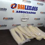 LOTE 091 - 12 - PACOTES ABRAÇADEIRA PLÁSTICA 400X4,8 NATURAL CONEXEL 100 UNIDADES CADA (NO ESTADO, NÃO SABEMOS SE FUNCIONA. LEILÃO NÃO TEM GARANTIA E NEM DEVOLUÇÃO, SUJEITO A POSSÍVEIS AVARIAS VISÍVEIS/OCULTAS E/OU AUSÊNCIA DE COMPONENTES)