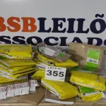 LOTE 355 - LOTE C/ ITENS DIVERSOS (NO ESTADO, NÃO SABEMOS SE FUNCIONA. LEILÃO NÃO TEM GARANTIA E NEM DEVOLUÇÃO, SUJEITO A POSSÍVEIS AVARIAS VISÍVEIS/OCULTAS E/OU AUSÊNCIA DE COMPONENTES)