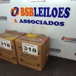 LOTE 318 - 24 - SUPLEMENTOS MINERAL ADE PO CHAMPION 1KG (NO ESTADO, NÃO SABEMOS SE FUNCIONA. LEILÃO NÃO TEM GARANTIA E NEM DEVOLUÇÃO, SUJEITO A POSSÍVEIS AVARIAS VISÍVEIS/OCULTAS E/OU AUSÊNCIA DE COMPONENTES)