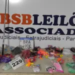 LOTE 229 - 30 – ÍTENS DIVERSOS (NO ESTADO, NÃO SABEMOS SE FUNCIONA. LEILÃO NÃO TEM GARANTIA E NEM DEVOLUÇÃO, SUJEITO A POSSÍVEIS AVARIAS VISÍVEIS/OCULTAS E/OU AUSÊNCIA DE COMPONENTES)