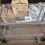 LOTE 405 - 01 CARRINHO PARA TRANSPORTE 03 BANDEJAS. (NO ESTADO) ATENÇÃO! FAZER A VISITAÇÃO ANTES DE ARREMATAR, NÃO SABEMOS SE FUNCIONA. LEILÃO NÃO TEM GARANTIA E NEM DEVOLUÇÃO, SUJEITO A POSSÍVEIS AVARIAS VISÍVEIS/OCULTAS E/OU AUSÊNCIA DE COMPONENTES.