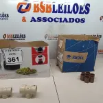 LOTE 361 - 01 LOTE C/VÁRIOS TE´S DE REDUÇÃO MARCAS E MODELOS DIVERSOS E GRANDE QUANTIDADE DE LUVAS ROSQUEÁVEIS. (NOVO). (NO ESTADO) ATENÇÃO! FAZER A VISITAÇÃO ANTES DE ARREMATAR, NÃO SABEMOS SE FUNCIONA. LEILÃO NÃO TEM GARANTIA E NEM DEVOLUÇÃO, SUJEITO A POSSÍVEIS AVARIAS VISÍVEIS/OCULTAS E/OU AUSÊNCIA DE COMPONENTES.