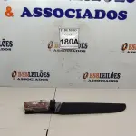 LOTE 180 - 01 FACA IMPORTADA AÇO INOXIDÁVEL CABO EM MADEIRA FULL TANG BAINHA DE NYLON TAMANHO TOTAL 38CM PESO 416G JÁ AFIADA   (NOVO) (NO ESTADO) ATENÇÃO! FAZER A VISITAÇÃO ANTES DE ARREMATAR, NÃO SABEMOS SE FUNCIONA. LEILÃO NÃO TEM GARANTIA E NEM DEVOLUÇÃO, SUJEITO A POSSÍVEIS AVARIAS VISÍVEIS/OCULTAS E/OU AUSÊNCIA DE COMPONENTES.