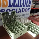 LOTE 219 - 05 BANDEJAS PARA LAVA LOUÇAS INDUSTRIAIS. (NO ESTADO EM QUE SE ENCONTRA. SUJEITO A AVARIAS OCULTAS/VISÍVEIS.)