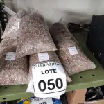 LOTE 050 - 08 PACOTES DE ADUBO QUÍMICO PARA PLANTAS. (NO ESTADO) ATENÇÃO! FAZER A VISITAÇÃO ANTES DE ARREMATAR, NÃO SABEMOS SE FUNCIONA, LEILÃO NÃO TEM GARANTIA E NEM DEVOLUÇÃO, SUJEITO A POSSÍVEIS AVARIAS VISÍVEIS/OCULTAS E/OU AUSÊNCIA DE COMPONENTES.